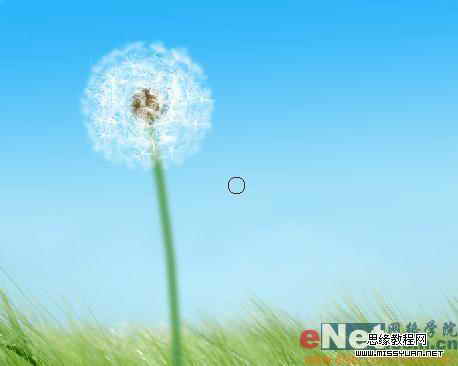 Photoshop制作逼真的風(fēng)中蒲公英