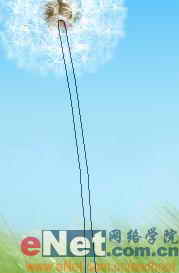 Photoshop制作逼真的風(fēng)中蒲公英