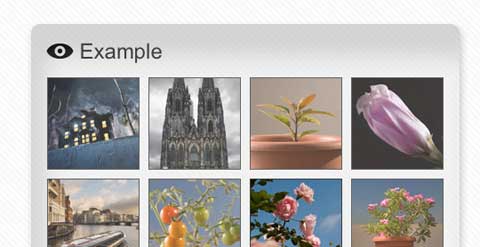 Best-jQuery-Plugins-of-2010-YoxView Best jQuery Plugins of 2010 YoxView